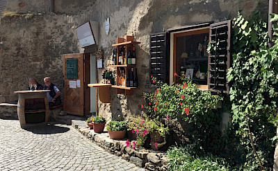 Wine tasting at a winery in the Wachau Valley, Austria. &copy;TripSite's Elena