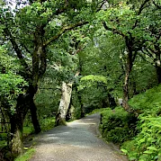 Dublin e Wicklow Foto
