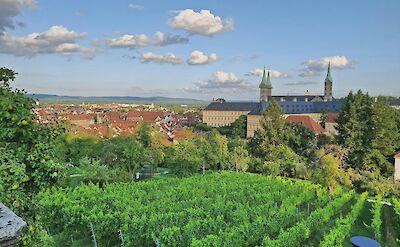 Vineyards overlooking historic Bamberg. pexels@Jelluh
