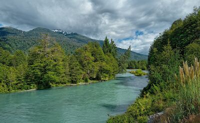 River valleys and native forests of southern Chile. Flickr@Ot&aacute;vio Nogueira