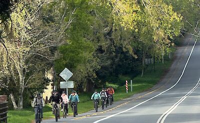 E-biking along scenic roads in Chile&rsquo;s Lake District.