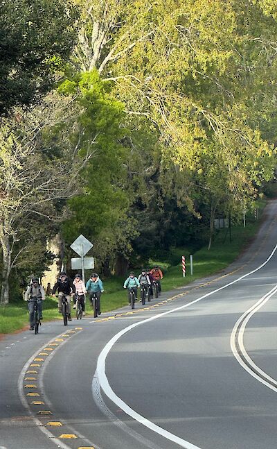 E-biking along scenic roads in Chile’s Lake District.
