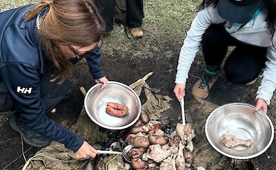 Traditional Curanto prepared over hot stones. cc-Mikky