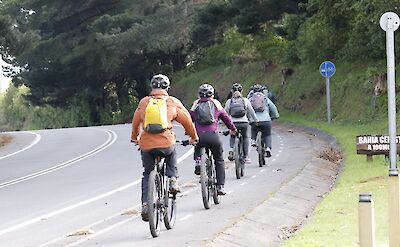 E-biking through Chile&rsquo;s Lake District countryside.