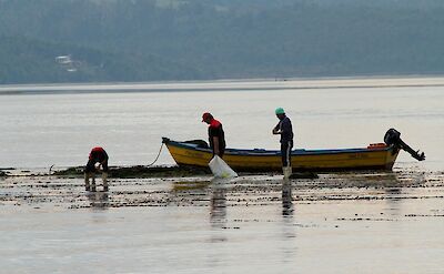 Daily life along the coast of Chilo&eacute; Island.