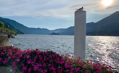 Sunset over Lake Como. cc@Heather