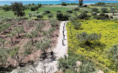 Countryside cycling route through olive groves near the Peloponnese coast. toABB