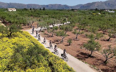 Small group cycling through rural roads in southern Peloponnese. toABB