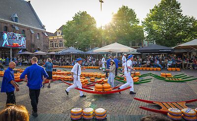 Alkmaar cheese market. toBBT