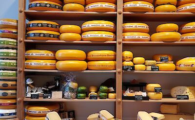 Local cheese in a Dutch cheese shop. pexels:RockwellBranding