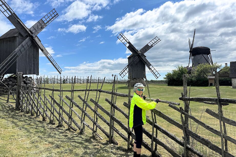 Baltic windmills! CC:Raymond Lemoine