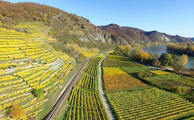 Flourishing vineyards of Durnstein, Austria. Unsplash@Chris de Wit