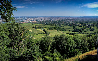 View of Vienna from Kahlenberg, Austria along the Danube River.  Flickr:Oleg Brovko