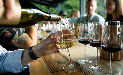 Pouring wines for wine tasting. Unsplash@Caroline Attwood
