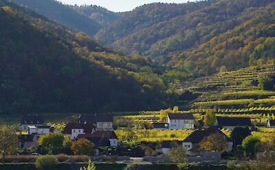 Wachau Valley at Rossatz, Austria. Unsplash@Shpetim Ujkani