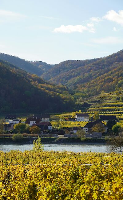 Wachau Valley at Rossatz, Austria. Unsplash@Shpetim Ujkani