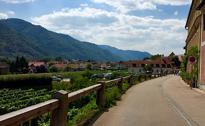 TripSite's Elena biking the Wachau Valley in Austria.