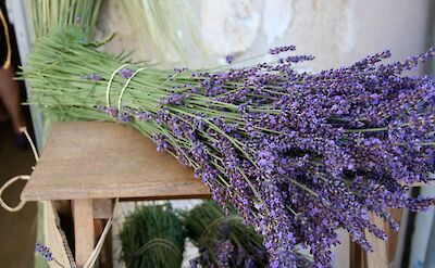 Lavender from Provence. unsplash:GwynHay