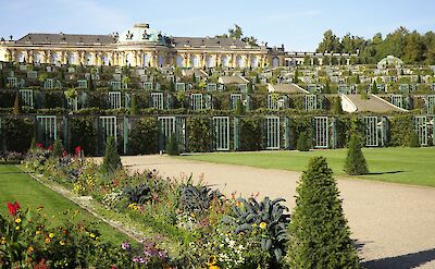 Sanssouci Palace and its terraced gardens in Potsdam. pexels:Nata