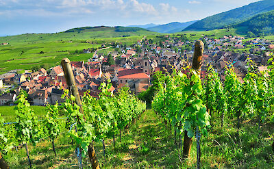 Vineyards overlooking a traditional Alsatian village. to:TN