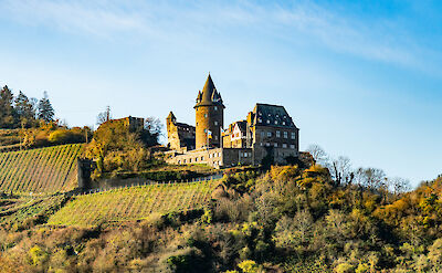Terraced vineyards overlooking the Rhine near Bacharach. to:TN