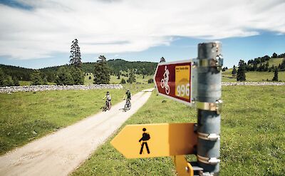 Well-marked cycling routes lead through peaceful countryside. to:TN