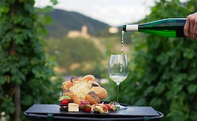 Regional wine tasting overlooking the vineyards. to:TN