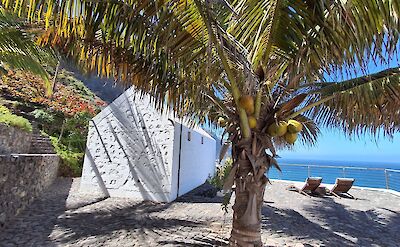 Palm trees at Mamiwata Eco Village, Santo Antao, Cape Verde.
