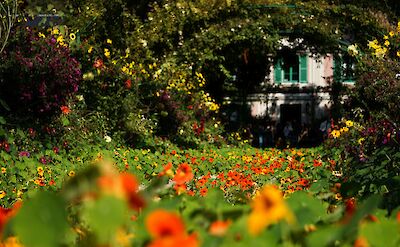 Monet&rsquo;s colorful gardens in Giverny. unsplash:BaptisteRiffard