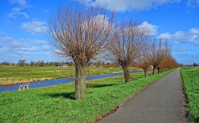 A peaceful bike path beside a Dutch canal. pixabay:mabelamber