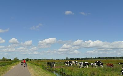 Cycling through Holland&rsquo;s open countryside. pixabay:mrsbrown