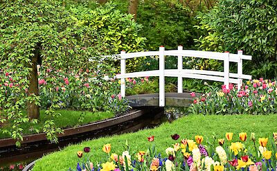 Spring gardens and a picturesque footbridge at Keukenhof. pixabay:mabelamber