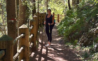 Wooded trail between Caldaro and Coredo. cc:Tripsite
