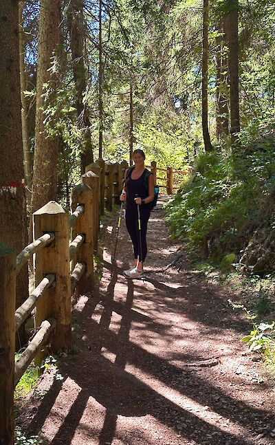 Wooded trail between Caldaro and Coredo. cc:Tripsite