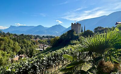 Views over Merano and the surrounding hills. cc:Tripsite
