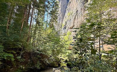 Gorge below San Romedio. cc:Tripsite