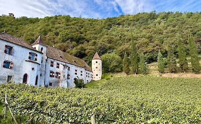 Historic wine estate and vineyards just outside Nals. cc:Tripsite