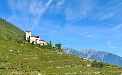 Vineyards climbing the hillsides. cc:Tripsite