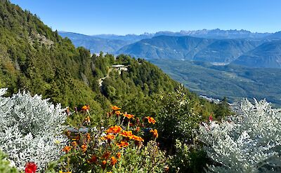 Views across the Val di Non. cc:Tripsite