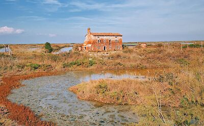 Wetlands and open landscapes of the Venetian coast. toGL