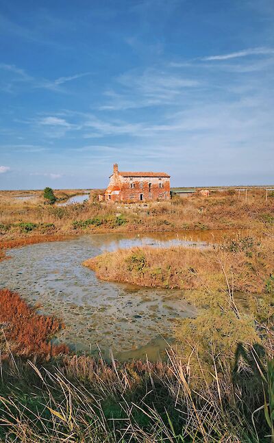 Wetlands and open landscapes of the Venetian coast. toGL