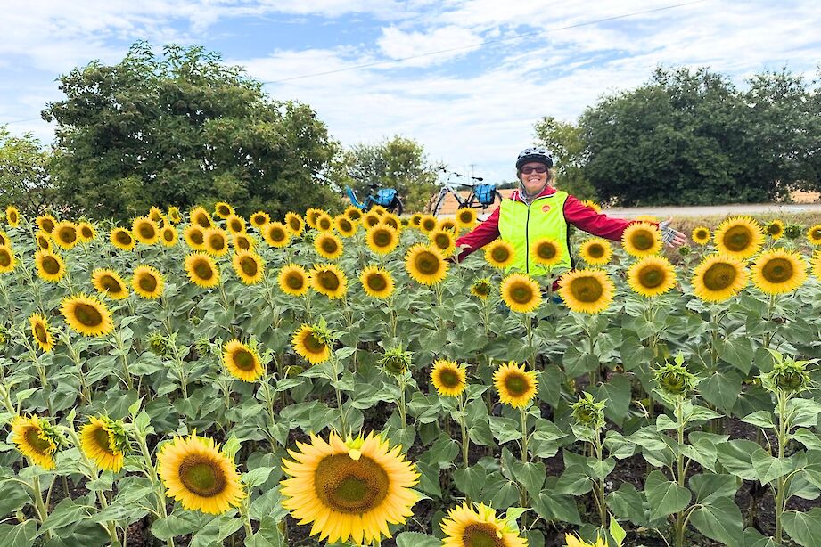 Big smiles in the sunflower fields. CC:Stuart Fabel