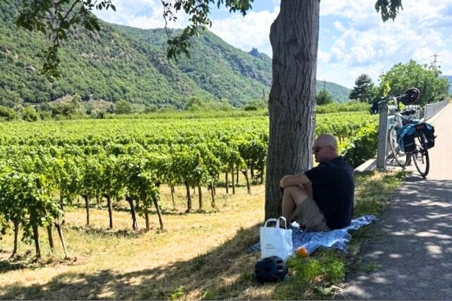 Taking a break in the vineyards. CC:Stuart Fabel