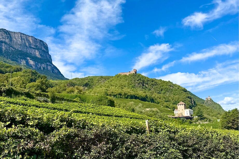 Castles between Nals and Caldaro, Italy. CC:Heather Williams