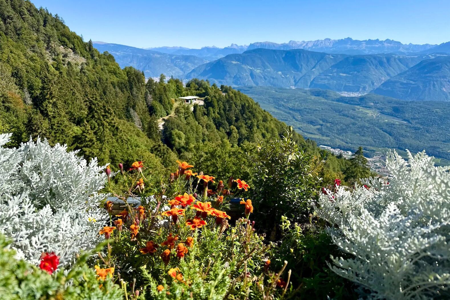 Val di Non views, Italy. CC:Heather Williams