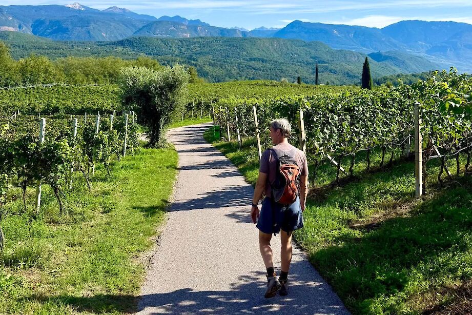 Heather's husband walking in the wine country, Italy. CC:Heather Williams