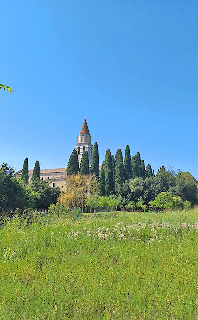 The historic Basilica of Aquileia, a UNESCO World Heritage Site, surrounded by cypress trees. cc:to