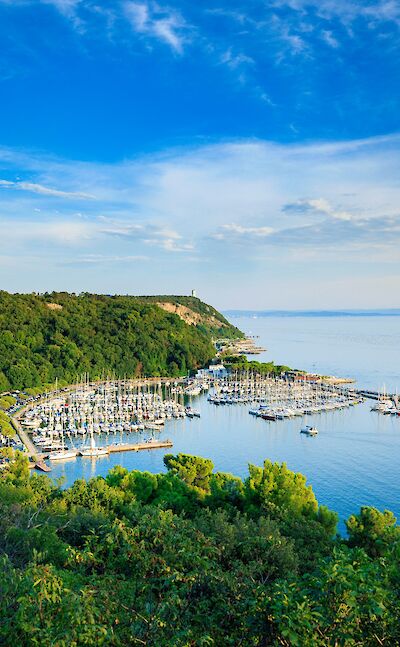 Marina filled with sailboats along Italy&rsquo;s northern Adriatic coast. cc:to
