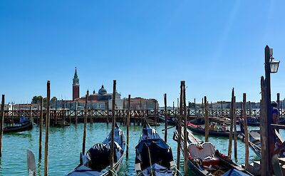 Gondolas overlooking St. Mark's Basin in Venice. cc:Tripsite