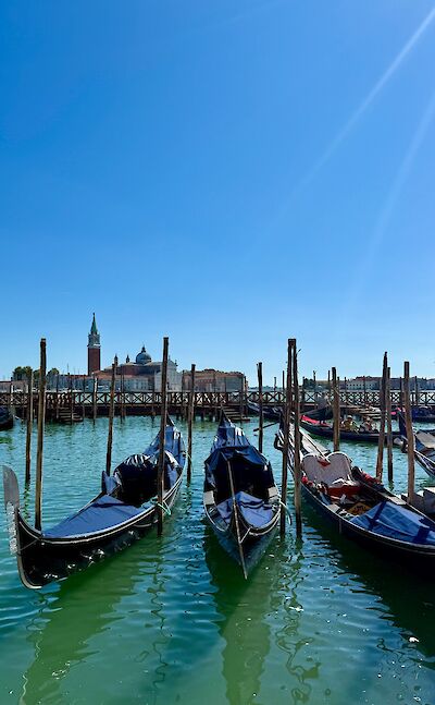 Gondolas overlooking St. Mark's Basin in Venice. cc:Tripsite